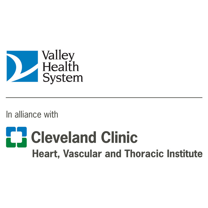 Valley Health logo